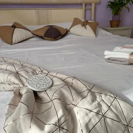 住宿加早餐酒店 D'hote